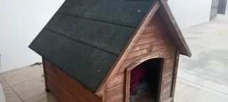 Caseta perro