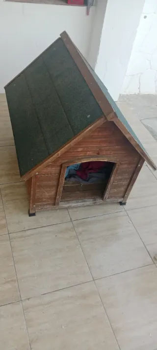 Caseta perro