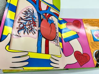 El cuerpo humano en pop up: sistemas respirator...