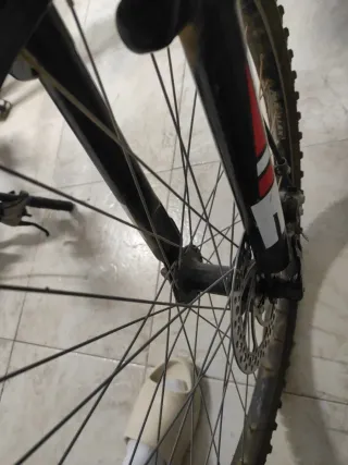 Bicicleta moma sun 1.0