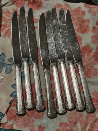 Set di posate silverplated e acciaio "1881 Rogers"