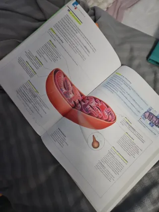 Biología, Ciencias, Bachillerato 2