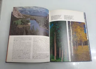 Le Montagne Rocciose di Bosi Fabbri viaggi natura