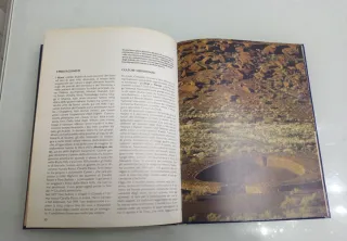 Le Montagne Rocciose di Bosi Fabbri viaggi natura