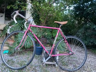 Bici mercier « fixie ». Tailla M. 1 rueda mavic