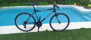 Bicicleta adulto
