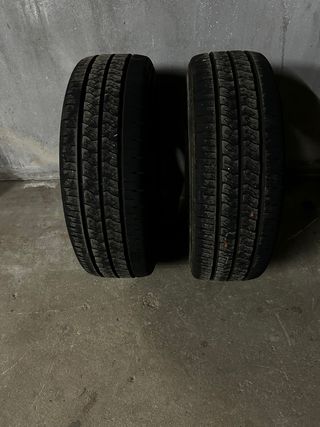 Neumaticos de furgoneta 225 / 70 / 15 C110 - 112