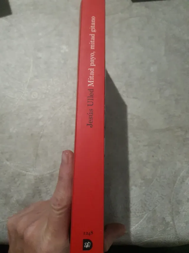 Mitad payo, mitad gitano