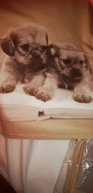Copri piumoni singoli con stampa cuccioli chihuahu