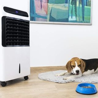 Cecotec Climatizador Evaporativo EnergySilence