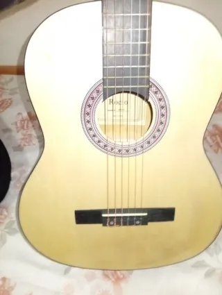 Guitarra con funda y cejilla