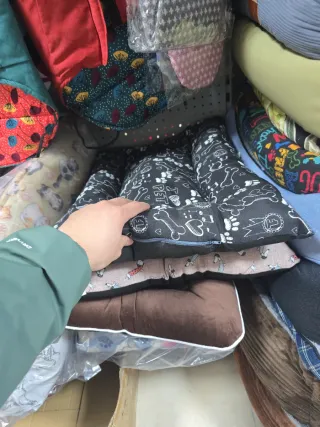 Camas perros ( variedad de camas y color)