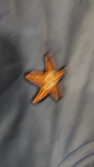 Bañador niña piscina starfish