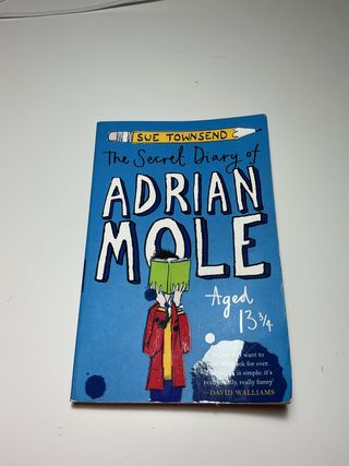 The Secret Diary of Adrian Mole Ages 133/4
