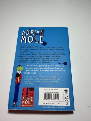 The Secret Diary of Adrian Mole Ages 133/4
