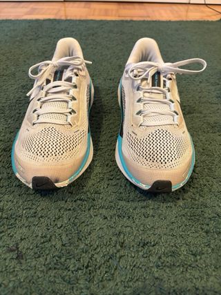 Zapatillas Nike Pegasus 41