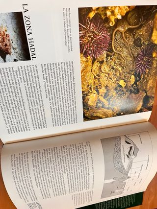 Enciclopedia el mundo de los animales