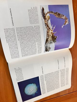 Enciclopedia el mundo de los animales