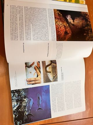 Enciclopedia el mundo de los animales