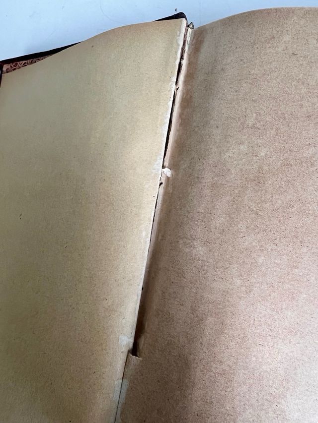 LA BACTERIOLOGÍA EXPERIMENTAL tomos 1 & 2