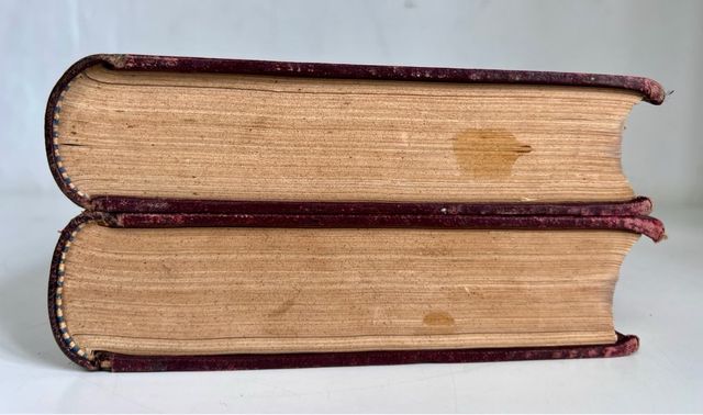 LA BACTERIOLOGÍA EXPERIMENTAL tomos 1 & 2