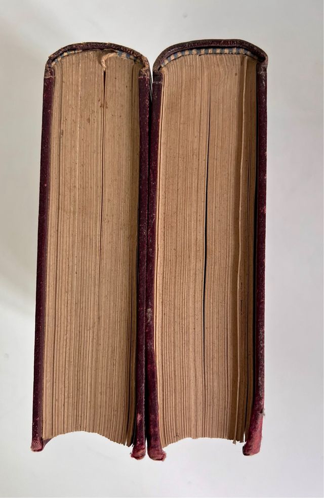 LA BACTERIOLOGÍA EXPERIMENTAL tomos 1 & 2