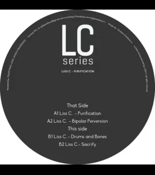 Lote vinilos techno actual