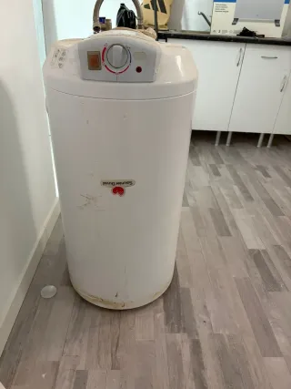 Termo Eléctrico Saunier Duval 100L