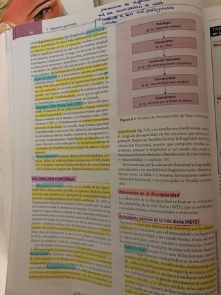 Medicina geriátrica : una aproximación basada e...