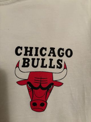 Camiseta Chicago Bulls manga larga