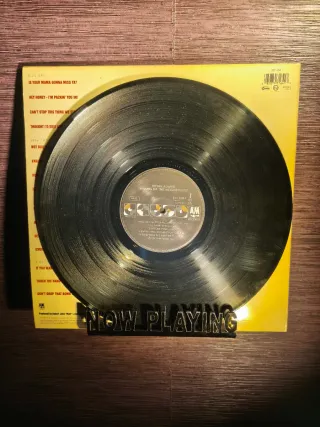 Disco Vinilo Bryan Adams