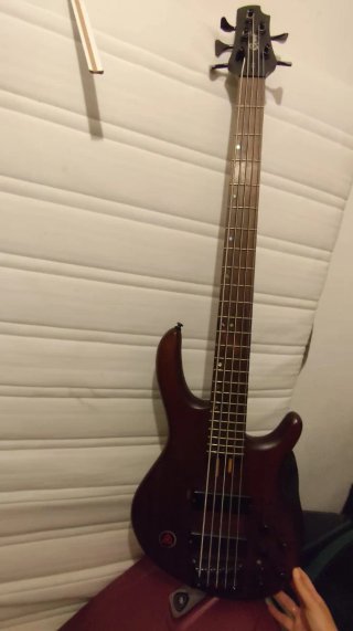 Bajo eléctrico cinco cuerdas