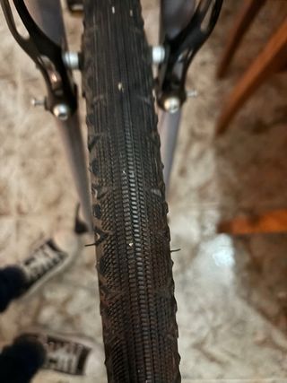 Bicicleta Riverside Gris