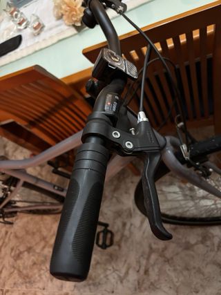 Bicicleta Riverside Gris