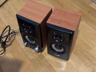 Altavoces / Monitores Genius de madera