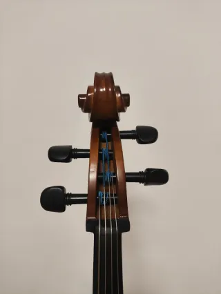 Violoncello Roth & Junius RJC tamaño 1/2