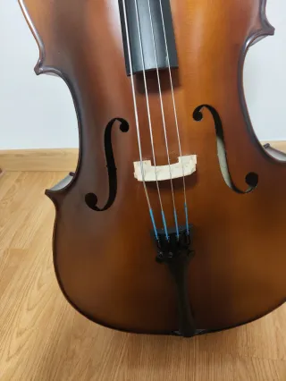 Violoncello Roth & Junius RJC tamaño 1/2