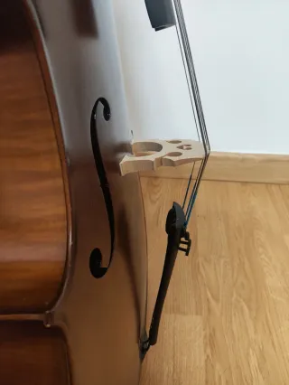 Violoncello Roth & Junius RJC tamaño 1/2
