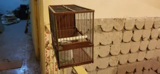 Jaula para jilgueros