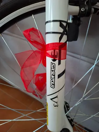 Bicicleta BH Over X Roja