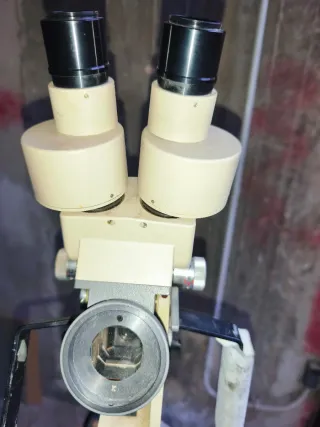 Colposcopio Olympus zoom con Polaroid