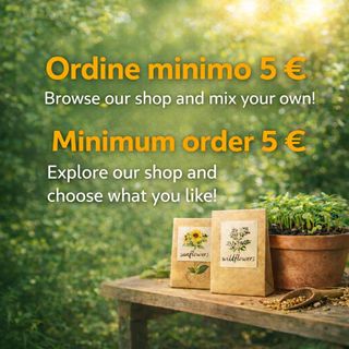 Mimulus hybrida - Fiore Scimmia Colorato