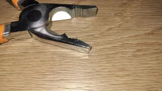 Pinza Beta