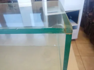 Expositor de cristal restaurante