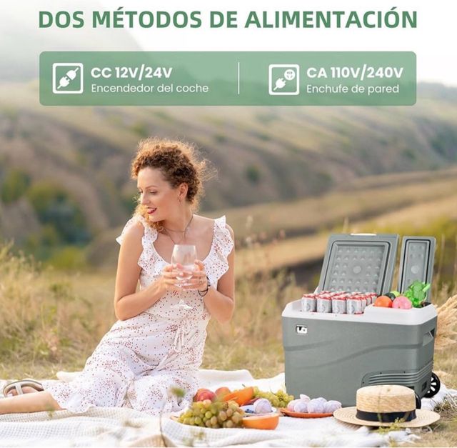 Frigorifero portatile Alpicool 40L doppia zona 12V/24V