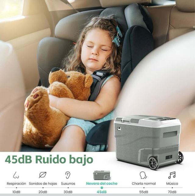 Frigorifero portatile Alpicool 40L doppia zona 12V/24V