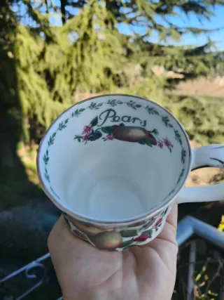 Mug Royal Albert Pear
