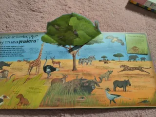 Cómo viven los animales