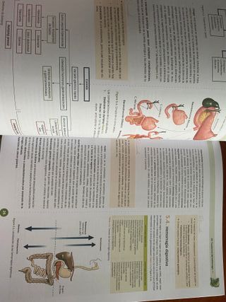 18 manuales EIR Enfermería 11ed CTO