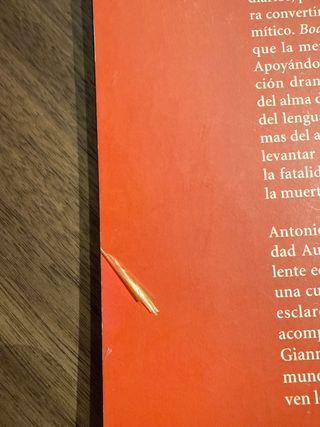 Bodas De Sangre (clasicos Hispanicos) (Spanish ...